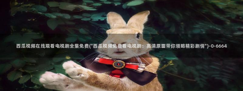 星辰影院西瓜影院