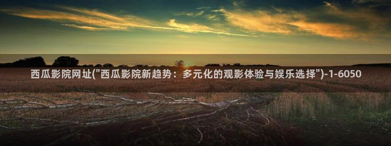 西瓜电影电视剧