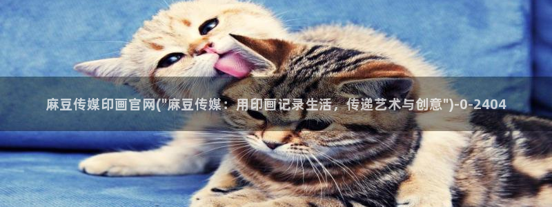 麻豆资源更新：麻豆传媒印画官网(\