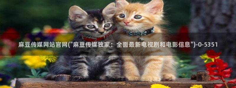 麻豆 官方页面：麻豆传媒网站官网(\