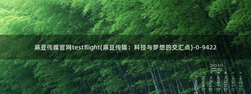 麻豆视频 下载推荐：麻豆传媒官网testflig