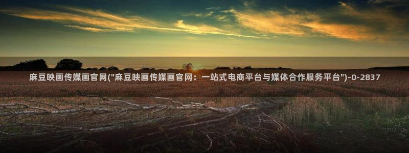 麻豆视频官方完整版：麻豆映画传媒画官网(\