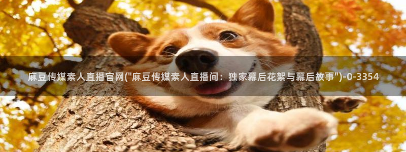 麻豆视频 图集页面：麻豆传媒素人直播官网(\