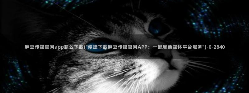 麻豆 资源导航：麻豆传媒官网app怎么下载(\