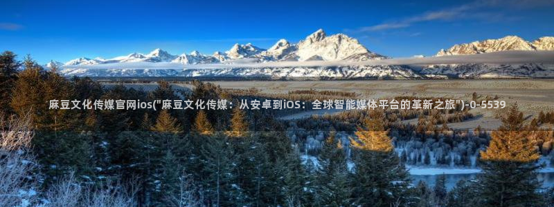 麻豆视频更新页面：麻豆文化传媒官网ios(\