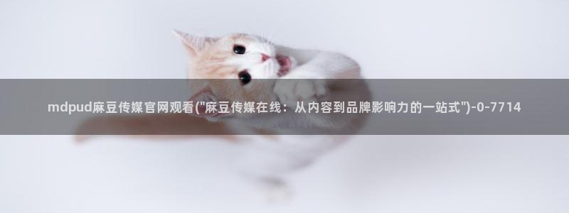 麻豆最新最新：mdpud麻豆传媒官网观看(\