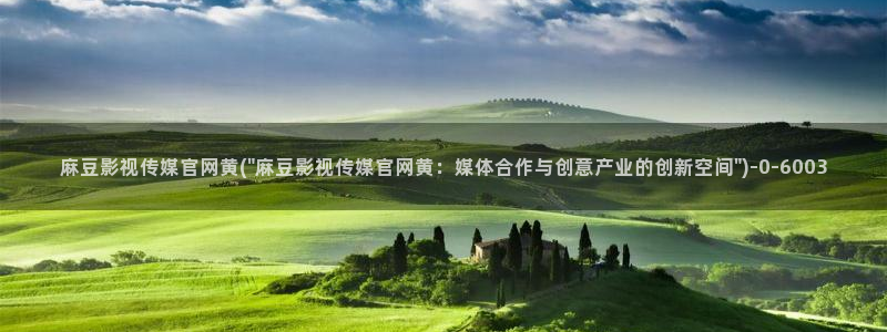 麻豆 精选合集：麻豆影视传媒官网黄(\