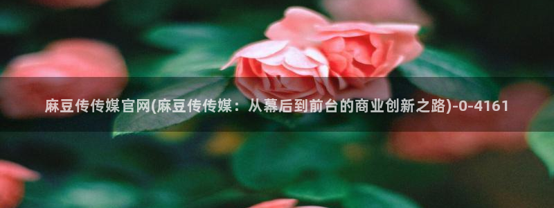 麻豆高清推荐：麻豆传传媒官网(麻豆传传媒：从幕后到前台的商业创新之路)