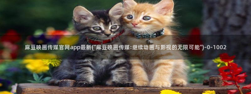 麻豆官方最新：麻豆映画传媒官网app最新(\