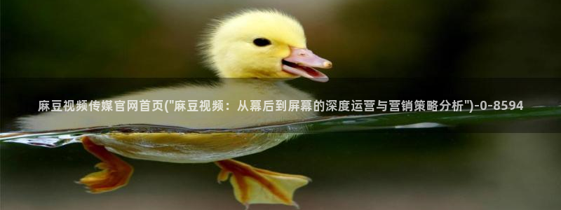 麻豆 在线看专区：麻豆视频传媒官网首页(\