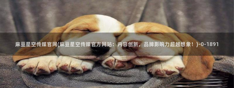 麻豆视频 资源更新：麻豆星空传媒官网(麻豆星空传媒官方网