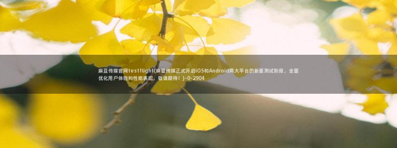 麻豆视频内容推荐：麻豆传媒官网testflight(麻豆传媒正式开启iOS和Android两大平台的新版测试阶段，全面优化用户体验和性能表现，敬请期待！)