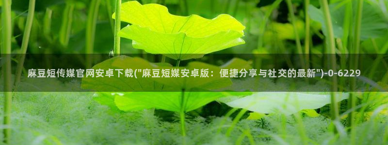 麻豆更新更新：麻豆短传媒官网安卓下载(\