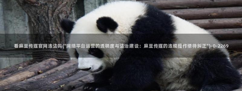麻豆视频最新专区：看麻豆传媒官网违法吗(\