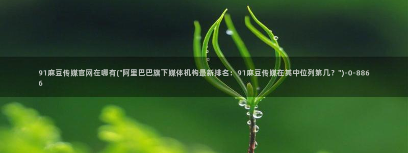 麻豆视频系列更新：91麻豆传媒官网在哪有(\