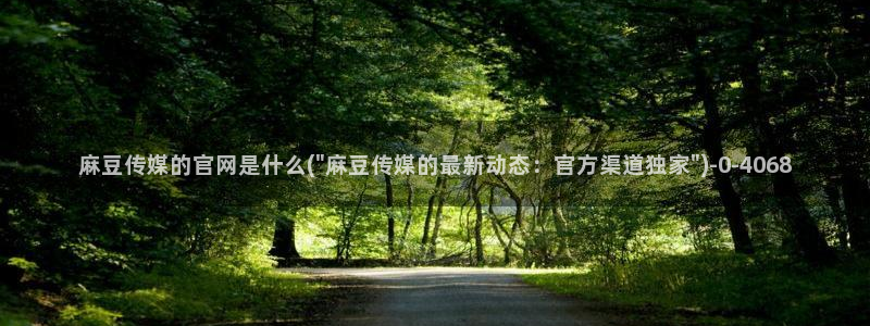 麻豆视频 资源最新：麻豆传媒的官网是什么(\