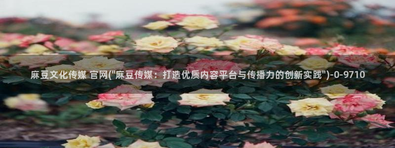麻豆 精选页面：麻豆文化传媒 官网(\