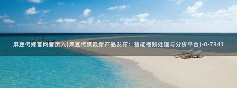 麻豆视频最新资源：麻豆传媒官网首页入(麻豆传媒最新产品发布：智能视频处理与分析平台)