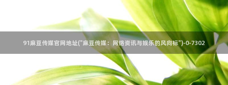 麻豆视频 下载完整版：91麻豆传媒官网地址(\