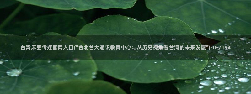 麻豆视频官方更新：台湾麻豆传媒官网入口(\