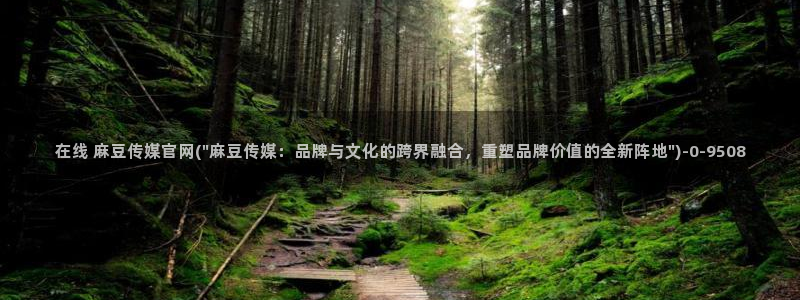 麻豆视频专区专区：在线 麻豆传媒官网(\