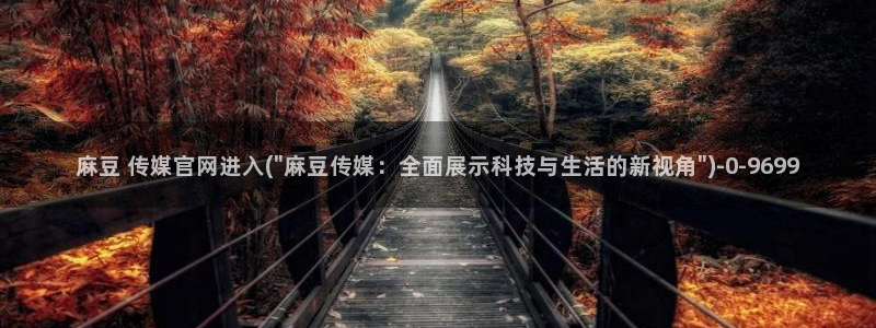 麻豆视频 站导航：麻豆 传媒官网进入(\